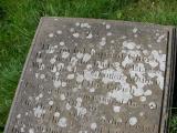 image of grave number 145382